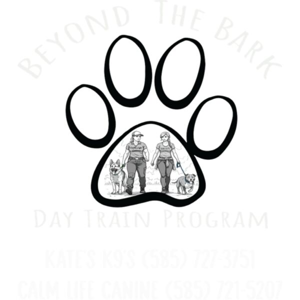 beyond with numbers Thumbnail